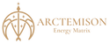 arctemisonstore